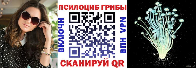 Купить где  Бор  Псилоцибиновые грибы GOLDEN TEACHER 